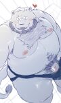 2024 anthro beard belly big_belly blush clothing dain_4201 facial_hair felid genitals heart_symbol hi_res jockstrap kemono lion male mammal mature_male moobs nipples overweight overweight_male pantherine penis pubes scar solo underwear