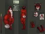 2017 anthro big_tail canine eliana-asato fox fur girly green_eyes male mammal model_sheet penis red_fur small_penis tod 