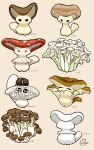  button_mushroom check_food commentary_request enoki_(mushroom) food_focus food_request highres kanero_tuntun mushroom original oyster_mushroom shiitake simple_background translation_request truffle white_background 