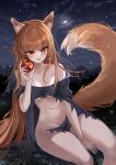  1girl absurdres animal_ears apple bare_shoulders blush breasts delfin59 food food_bite fruit highres holding holding_food holding_fruit holo long_hair looking_at_viewer medium_breasts moon navel night night_sky outdoors parted_lips red_eyes sitting sky solo spice_and_wolf star_(sky) tail thighs torn_clothes very_long_hair wheat_field wolf_ears wolf_girl wolf_tail 