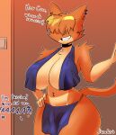 absurd_res anthro artist_name big_breasts blue_bottomwear blue_clothing blue_loincloth blue_towel bottomwear breast_curtains breasts chest_tuft clenched_teeth clothed clothing countershade_arms countershade_face countershade_fur countershade_torso countershading curvy_figure digital_media_(artwork) domestic_cat ear_piercing english_text felid feline felis female fur grin hair hair_over_eyes hand_on_hip hi_res hourglass_figure huge_breasts inside justbirb light_switch loincloth mammal navel navel_piercing offscreen_character open_mouth open_smile orange_body orange_fur orange_hair orange_nose paprika_(justbirb) piercing portrait question small_waist smile standing tail talking_to_another tan_body tan_countershading teeth text thick_thighs three-quarter_portrait three-quarter_view towel towel_around_neck tuft wide_hips