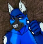absurd_res anthro blue canid canine canis clothing domestic_dog german german_shepherd hat headgear headshot_(disambiguation) headwear herding_dog hi_res icon left male mammal pastoral_dog shep sheperd solo thatbluedogon the thehuntingwolf thumbs up