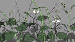  flower grey_background highres leaf no_humans original plant simple_background still_life tsukumizu_yuu 