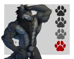  5:4 absurd_res animal_genitalia anthro canid canine canine_teeth canis ear_piercing firezol fluffy_chest genitals hi_res iidarkwolfgamer male mammal muscular muscular_anthro muscular_male neck_tuft nude penis piercing sheath solo tuft wolf 