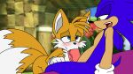 animated ass_up butt canid canine duo eulipotyphlan fellatio fox genitals hedgehog kneeling looking_back male male/male mammal miles_prower oral penile penis sega sex sonic_the_hedgehog sonic_the_hedgehog_(series) spanky15 sucking 
