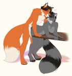  &lt;3 ambiguous_penetration anthro bent_over canine compass_(artist) duo erection female fox male male/female mammal nude open_mouth penetration procyonid raccoon sex smile standing 