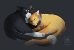 2016 ambiguous_gender black_body black_fur collar cuddling dannoitanart domestic_cat domestic_pet duo eyes_closed felid feline felis feral fur grey_background jake_(warriors) male_(lore) mammal orange_body orange_fur pawpads paws shaded simple_background sleeping smile tail tallstar_(warriors) warriors_(book_series) watermark whiskers white_body white_fur