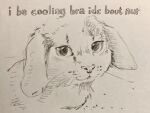 2022 ambiguous_gender caption domestic_cat english_text felid feline felis feral fur graphite_(artwork) hybrid lagomorph leporid looking_at_viewer mammal meme monochrome pencil_(artwork) rabbit reaction_image redraw remy_boydell simple_background sketch solo text traditional_media_(artwork) whiskers white_background