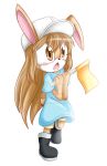  female lagomorph mammal platelet rabbit sonic_(series) tarita-jung 