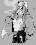  2018 anthro canine cigarette clothed clothing digital_drawing_(artwork) digital_media_(artwork) dipstick_tail donryu eye_patch eyewear fur grey_background greyscale hair hi_res male mammal monochrome multicolored_tail muscular nintendo nipples pecs scar shiny simple_background smoke smoking solo star_fox teeth video_games wolf wolf_o&#039;donnell 