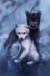  2018 black_eyes black_fur black_nose canine digital_media_(artwork) dog duo feral fur looking_at_viewer male mammal raining tamberella white_fur 