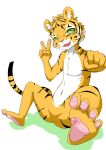  2015 alpha_channel anthro blush featureless_crotch feline green_eyes male mammal navel solo spread_legs spreading tiger young 超級小守鶴 