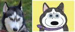  2018 ambiguous_gender animated black_nose blue_eyes canine collar digital_media_(artwork) dog expressions husky keke mammal open_mouth real smile teeth tongue 
