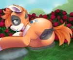  2018 absurd_res aisuroma anus butt digital_media_(artwork) dock equine female feral flower grass hair hi_res kiva_(amazon) looking_at_viewer lying mammal my_little_pony on_side outside plant pussy rose solo tongue tongue_out 
