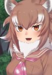  :d animal_ears bangs brown_hair brown_sailor_collar empty_eyes eyebrows_visible_through_hair fangs fur_collar gradient_hair hair_between_eyes japanese_wolf_(kemono_friends) kemono_friends long_hair looking_at_viewer multicolored_hair neckerchief nyifu open_mouth orange_eyes pink_neckwear plaid_neckwear sailor_collar school_uniform serafuku smile solo teeth tree tsurime two-tone_hair white_hair wolf_ears 