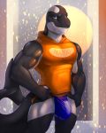  akamai anthro biceps big_bulge black_skin blue_eyes bulge cetacean clothing dwalker jockstrap looking_at_viewer male mammal marine muscular muscular_male orca pecs shirt simple_background smile solo standing thick_tail thick_thighs underwear whale white_skin 