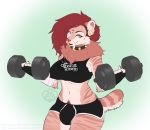  2018 anthro bulge dickgirl exercise facial_piercing feline fur hair intersex kittydee mammal monroe_(kammymau) multicolored_fur nose_piercing piercing red_hair saber-toothed_cat simple_background solo stripes two_tone_fur weightlifting workout 