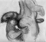  anthro bd butt butt_sniffing canine dog erection eyes_closed fur holding_butt humanoid_penis male male/male mammal monochrome pencil_(artwork) penis slightly_chubby smile sniffing striped_tail stripes traditional_media_(artwork) 
