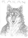  2018 anthro badge blue_eyes canine dark_natasha male mammal rakan scar traditional_media_(artwork) were werewolf wolf 