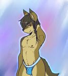  2017 anthro bulge canine clothing crackers fur looking_at_viewer male mammal penis_outline solo standing underwear 