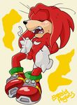  emerald_physics knuckles_the_echidna sonic_team tagme 