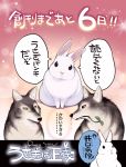  ! ... 2016 blood canine ichthy0stega japanese_text lagomorph mammal nosebleed rabbit text translation_request usagi_is_justice wolf 