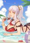  arm_strap ball beachball bikini bracelet breasts carmilla_(fate/grand_order) cleavage commentary_request eyewear_removed fate/grand_order fate_(series) highres holding holding_eyewear huge_breasts jewelry long_hair looking_at_viewer looking_to_the_side lying ocean on_stomach palm_tree partially_submerged petals ponytail red_bikini sangatsu_(mitsuki358) silver_hair solo sunglasses swimsuit tree water yellow_eyes 