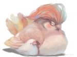  closed_eyes commentary_request gen_1_pokemon java_sparrow manino_(mofuritaionaka) no_humans pidgeotto pokemon pokemon_(creature) signature simple_background sleeping white_background 