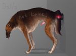  anal anal_masturbation canine danawolfin dog feral male mammal masturbation precum sex_toy solo 