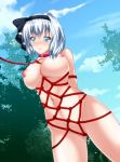  bangs bdsm blue_eyes blue_hair blush bondage bound breasts choker closed_mouth cloud collar commentary_request day exhibitionism eyebrows_visible_through_hair highres konpaku_youmu large_breasts looking_at_viewer navel nipples red_rope restrained rope shibari sky slave solo tied_up toraoto touhou tree 