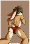 2015 anthro biped blush briefs brown_background brown_fur brown_hair bulge butt cheek_tuft clothed clothing ears_back eyebrows_visible_through_hair flip_bunny fur green_eyes hair hand_on_hip inner_ear_fluff lagomorph log_(artist) looking_at_viewer looking_back male mammal multicolored_fur pink_nose rabbit rear_view signature simple_background solo topless tuft two_tone_fur underwear white_fur 