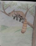  2017 anthro eyes_closed feral fur long_tail male mammal plains red_fur red_panda selve sleeping solo traditional_media_(artwork) tree white_fur 