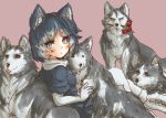  animal_ears black_hair blue_eyes commentary_request dog_ears dog_tail elbow_gloves eyebrows_visible_through_hair flower fur_trim gloves grey_hair husky kemono_friends multicolored_hair pleated_skirt scarf short_sleeves siberian_husky_(kemono_friends) skirt tail tikano white_hair 