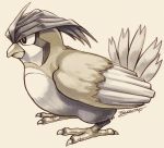  ambiguous_gender avian bird feral juanito_medina nintendo pidgeotto pok&eacute;mon pok&eacute;mon_(species) simple_background solo standing video_games white_background 