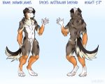  animal_genitalia anthro australian_shepard balls butt canine darwin_james dog fur male mammal model_sheet multicolored_fur nude paws sheath solo varinxo 