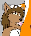  animated anthro bowmanswolf canine dog duo female florence_ambrose freefall freefall_(webcomic) interspecies loop low_res male mammal straight sucking unknown_artist webcomic 