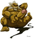  1boy bara barefoot buranko! daurina erection feet grin male_focus muscle penis presenting smile solo tagme the_legend_of_zelda toes 