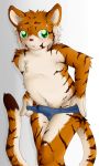  2015 amur_ussuri anthro biped black_fur blush bulge clothed clothing crossed_legs cub dipstick_tail embarrassed erection erection_under_clothes feline fur fur_markings gloves_(marking) green_eyes log_(artist) male mammal markings multicolored_fur multicolored_tail navel open_mouth orange_fur penis penis_base pink_nose precum signature simple_background solo stripes tiger topless underwear wet_spot white_background white_fur young 