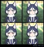  :&lt; animal_ears black_hair blue_eyes commentary dated dog_ears english_commentary expressions eyebrows_visible_through_hair frown glaring grass kemono_friends looking_at_viewer multicolored_hair outdoors photo-referenced roonhee serious short_hair siberian_husky_(kemono_friends) two-tone_hair upper_body v-shaped_eyebrows white_hair 