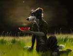  2018 anthro barefoot black_nose canine clothed clothing dog food fruit fully_clothed fur grass looking_at_viewer mammal multicolored_fur open_mouth pants paws sitting solo swish teeth toes two_tone_fur yellow_eyes 