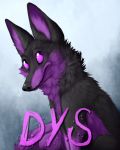  black_fur black_nose canine dys fox fur mammal maskedhusky multicolored_fur purple_eyes purple_fur solo two_tone_fur 