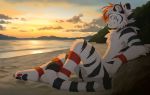  2018 akitamonster anthro beach detailed_background digital_media_(artwork) feline fur hair inner_ear_fluff male mammal nude outside red_eyes red_hair sand seaside smile solo striped_fur stripes sun tiger whiskers white_fur white_hair 