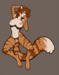  anthro braided_hair breasts clothing crotchless_panties cupless_bra feline female hair lingerie malina_(athiesh) mammal panties presenting pussy solo spearfrost tabby underwear 