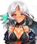  applepeaceee azur_lane bare_shoulders bikini_top breasts brown_eyes cleavage facepaint feathers hair_feathers large_breasts long_hair looking_at_viewer massachusetts_(azur_lane) multicolored_hair native_american open_clothes silver_hair solo tan zipper 
