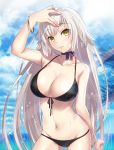  arm_at_side bangs bare_shoulders bikini black_bikini blurry blush breasts cleavage collarbone cowboy_shot depth_of_field eyebrows_visible_through_hair fate/grand_order fate_(series) front-tie_top groin hair_between_eyes halterneck head_tilt highres jeanne_d'arc_(alter)_(fate) jeanne_d'arc_(fate)_(all) large_breasts long_hair looking_at_viewer navel ocean palm_leaf parted_lips silver_hair solo standing stomach swimsuit thighs very_long_hair water yellow_eyes yoshida_takuma 