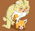  aggressive_retsuko all_fours anal anal_penetration barazoku bear big-fig blush bottomless cat clothed clothing doggystyle duo eyes_closed fangs feline from_behind_position male male/male mammal manumaru nipples open_mouth pallas&#039;s_cat penetration red_panda resasuke sex slightly_chubby striped_tail stripes tuft yellow_eyes 