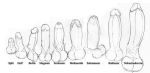  anatomy big_penis comparison disembodied_penis english_text erection fuzzy_balls hi_res how-to huge_penis humanoid_penis line_art male monochrome neenya not_furry penis penis_sheet penis_size_difference small_penis text uncut zero_pictured 