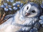 2014 avian beak bird feral flower kenket owl plant solo 