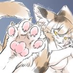  4_toes anthro blush breasts cat feline female foot_focus fur hair kemono mammal neko_chiyo pawpads solo toes 