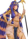  animal_ears bangs blush breasts chitu_hefeng_zhong closed_mouth commentary_request dark_skin earrings egyptian egyptian_clothes eyebrows_visible_through_hair facial_mark fate/grand_order fate_(series) groin hair_between_eyes hand_on_hip highres holding holding_staff hoop_earrings jackal_ears jewelry light_brown_hair long_hair looking_at_viewer medium_breasts multicolored_hair nitocris_(fate/grand_order) pelvic_curtain purple_eyes purple_hair revealing_clothes see-through sidelocks smile solo staff two-tone_hair very_long_hair 